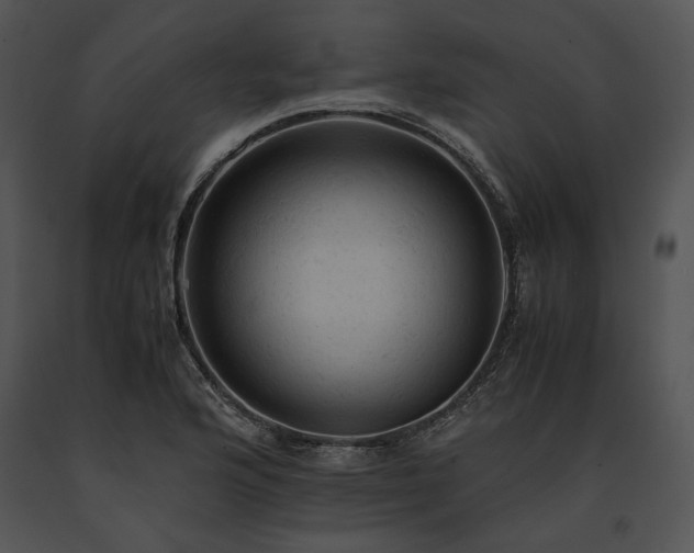 X0000091651176200708301413