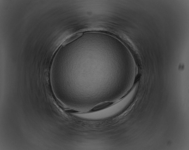 X0000091651177200708301413