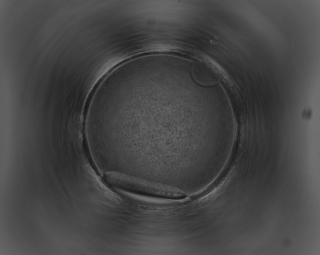X0000091651178200708301413