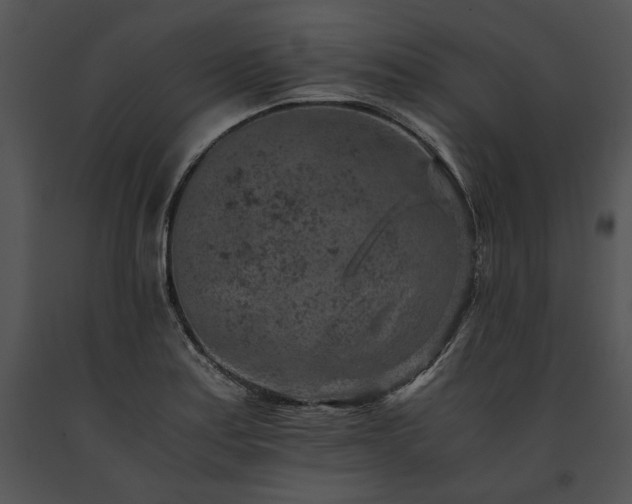 X0000091651179200708301413