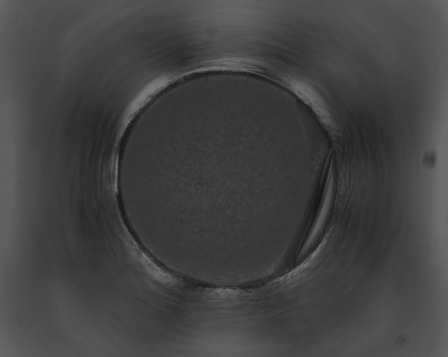 X0000091651180200708301413