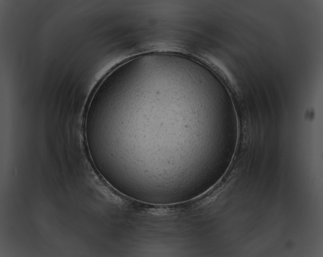 X0000091651182200708301413