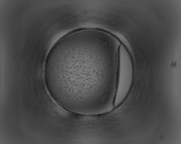 X0000091651183200708301413