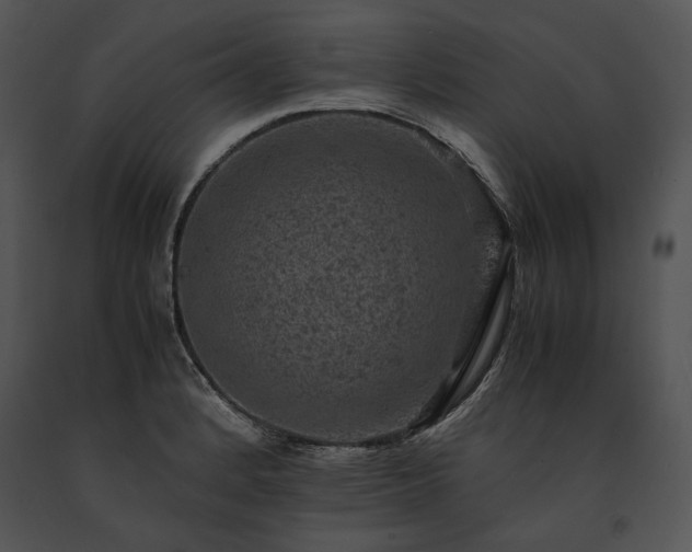 X0000091651184200708301413