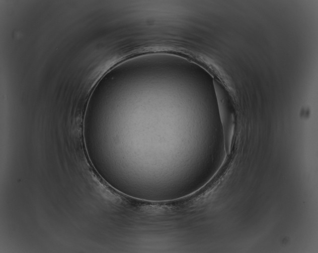 X0000091651185200708301413