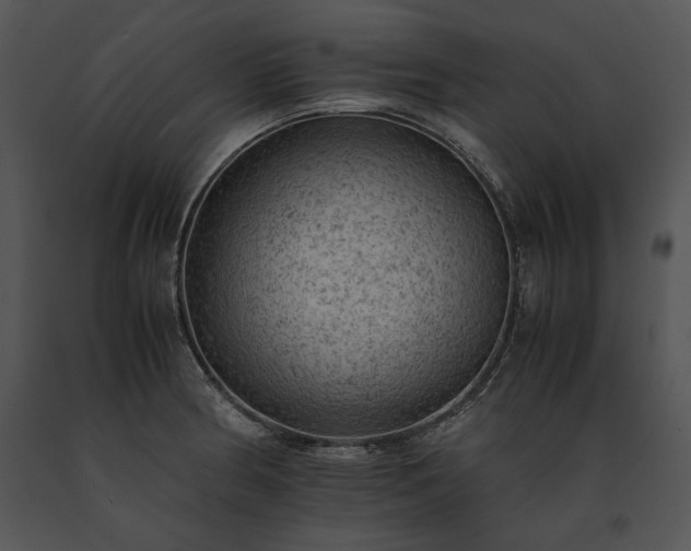 X0000091651186200708301413