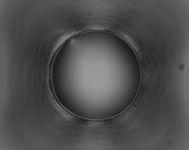 X0000091651187200708301413