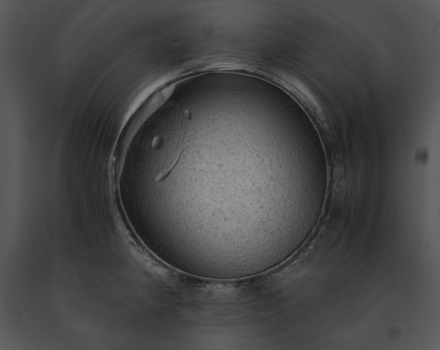 X0000091651190200708301413