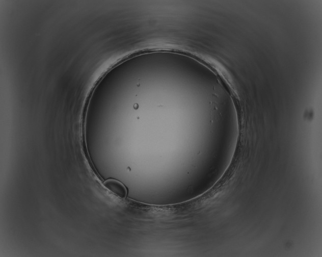 X0000091651191200708301413