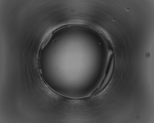 X0000091651192200708301413