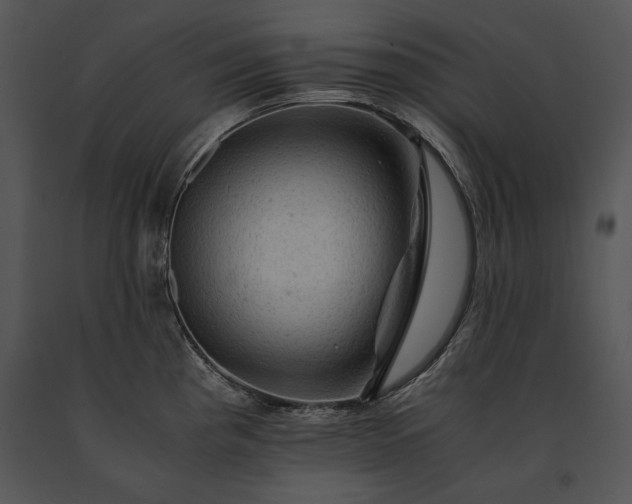 X0000091651193200708301412