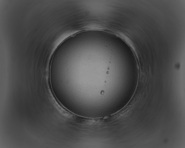 X0000091651195200708301412