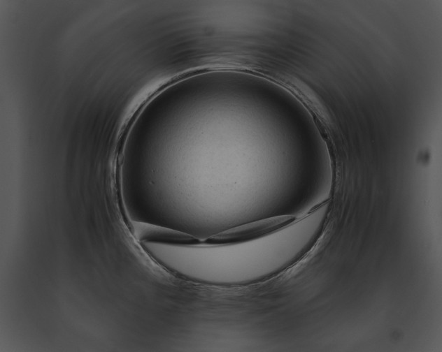 X0000091651196200708301412