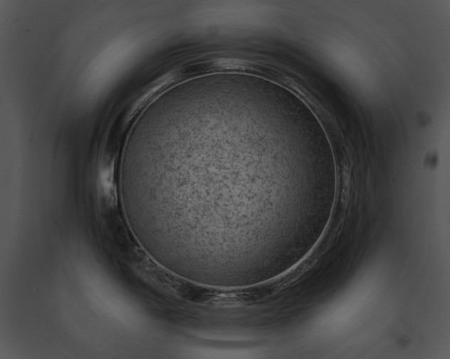 X0000091651198200708301412