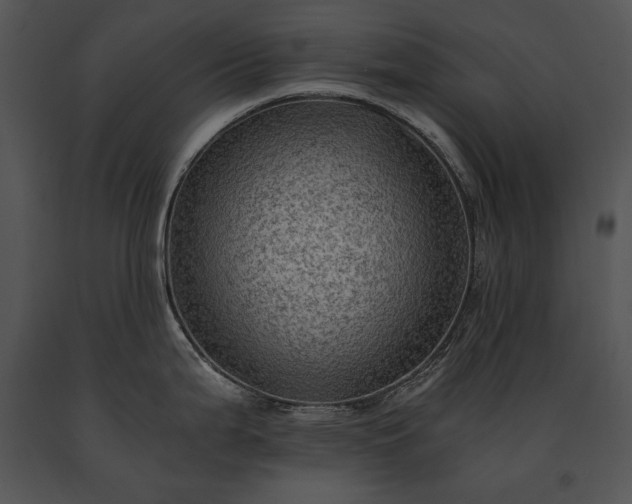 X0000091651199200708301412