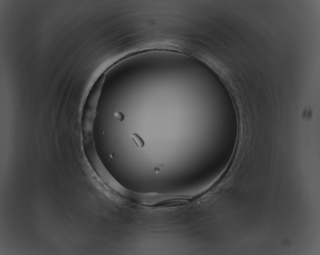 X0000091651200200708301412