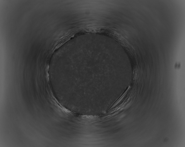 X0000091651202200708301412