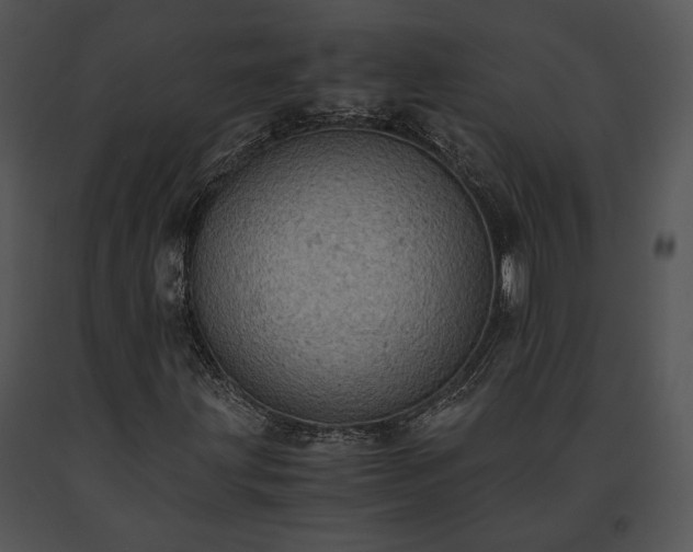 X0000091651203200708301412