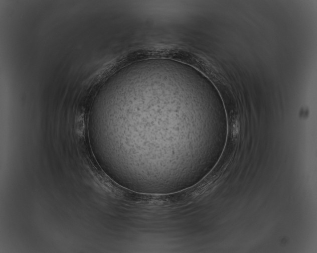 X0000091651204200708301412