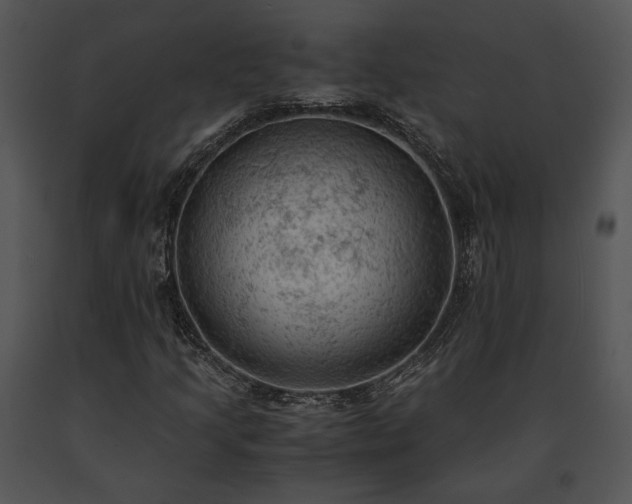X0000091651205200708301412