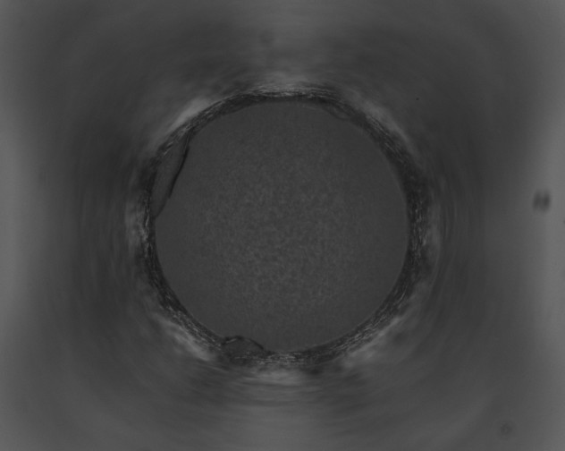 X0000091651206200708301412