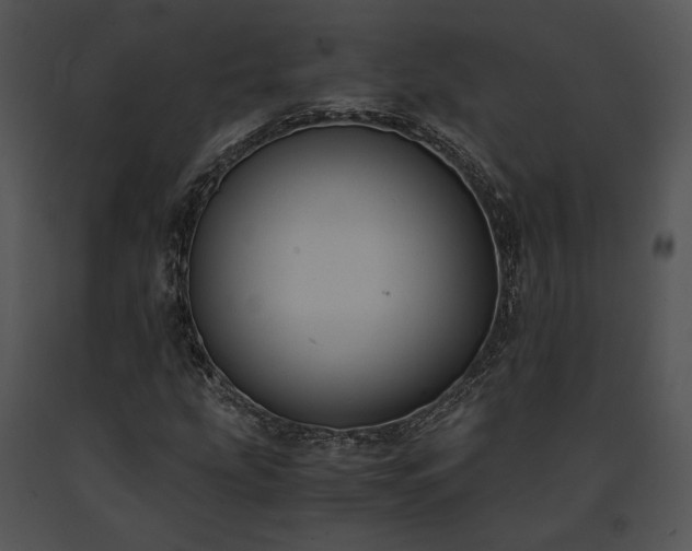 X0000091651207200708301412