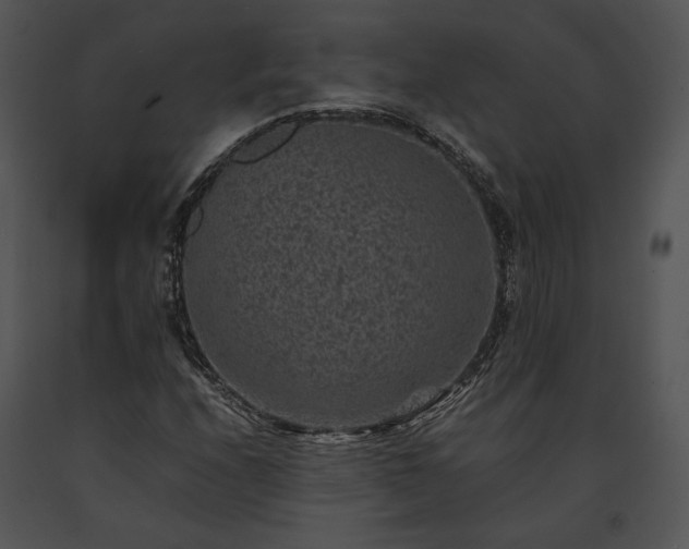 X0000091651208200708301412