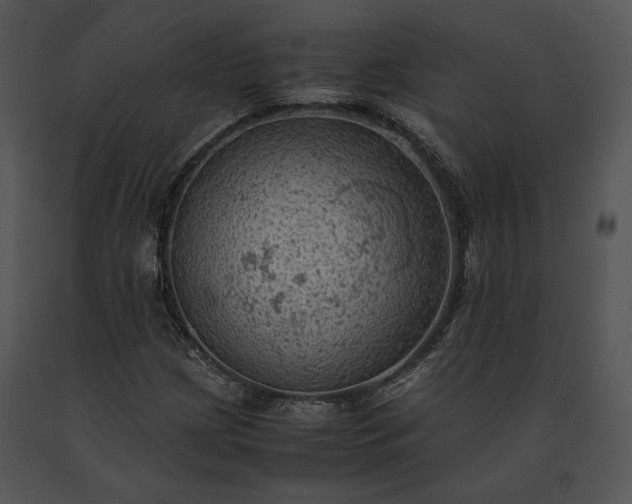 X0000091651209200708301412