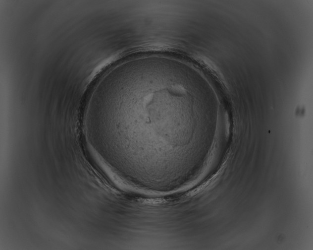 X0000091651210200708301412