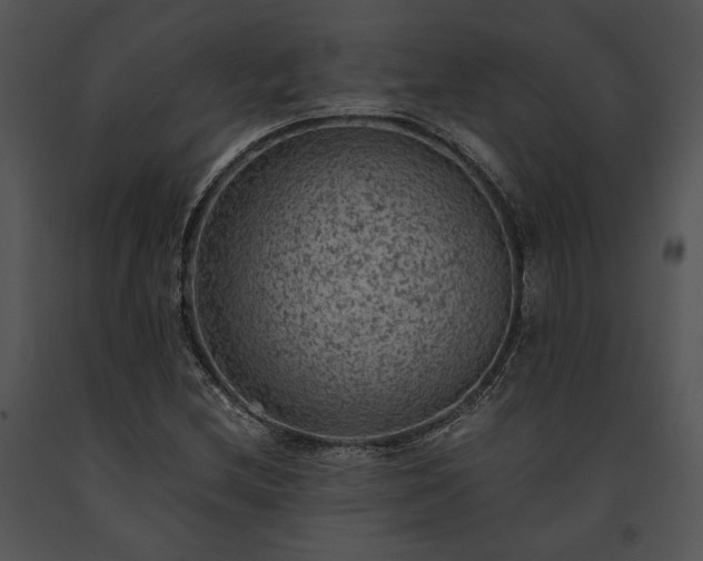X0000091651212200708301412