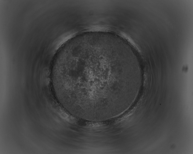 X0000091651213200708301412