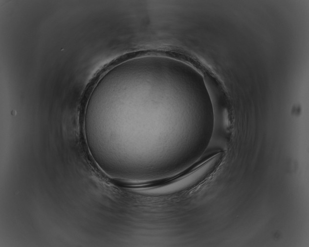 X0000091651214200708301412