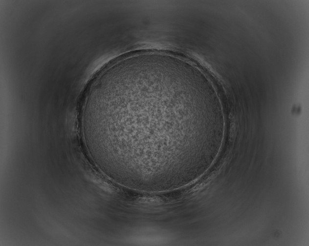 X0000091651215200708301412