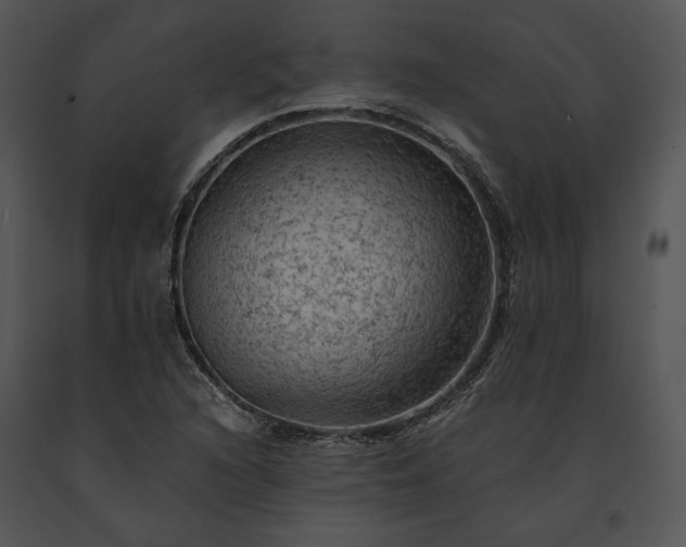 X0000091651216200708301412