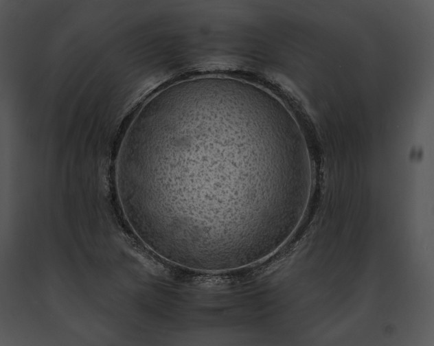 X0000091651217200708301412