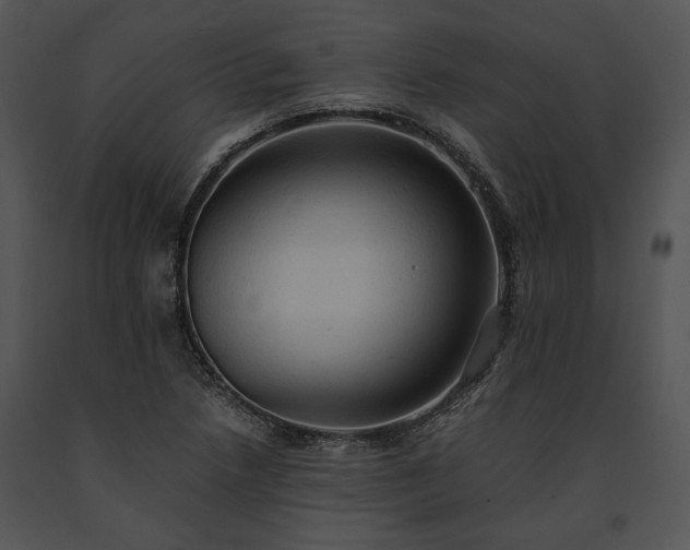 X0000091651218200708301412