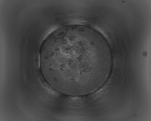 X0000091651219200708301412