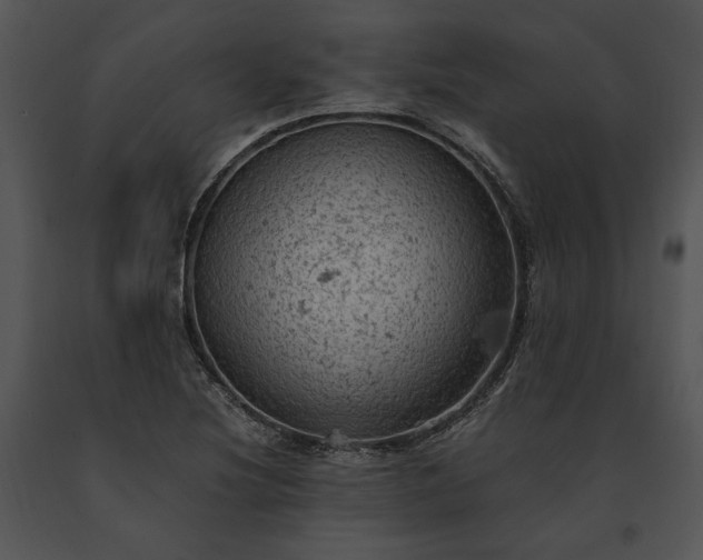 X0000091651220200708301412