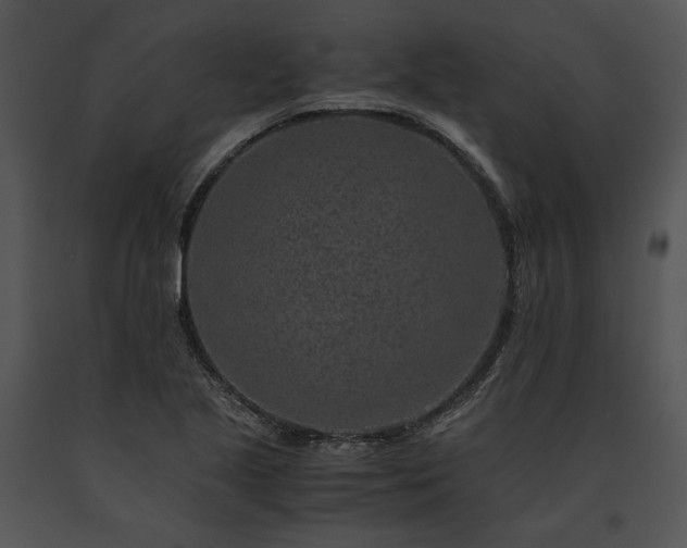 X0000091651221200708301412