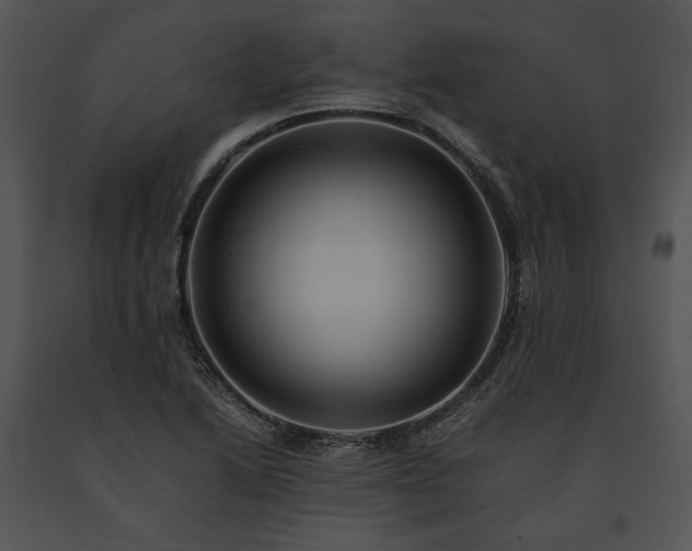 X0000091651222200708301412