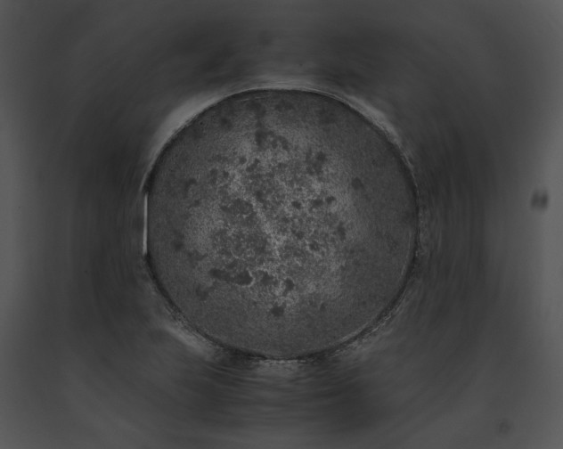 X0000091651223200708301412