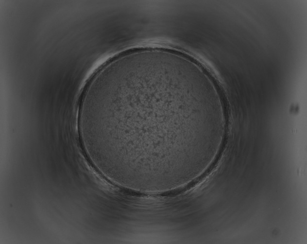 X0000091651224200708301412