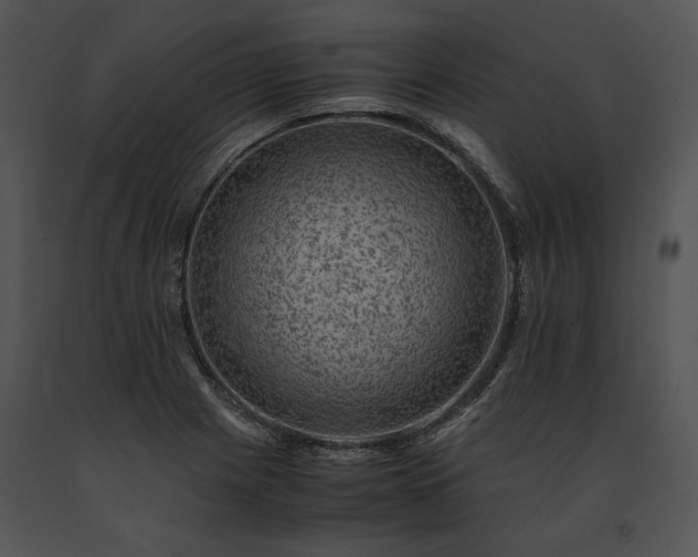 X0000091651225200708301412