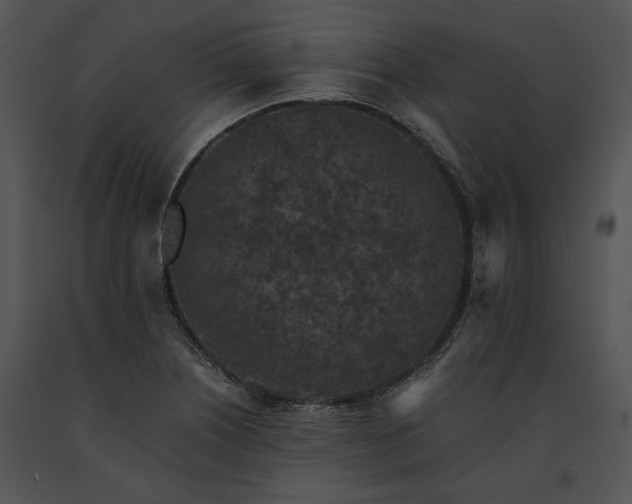 X0000091651226200708301412