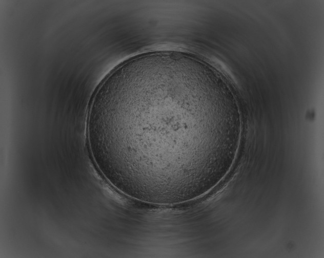 X0000091651228200708301412