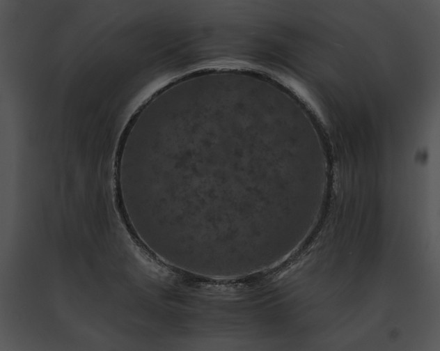 X0000091651229200708301412