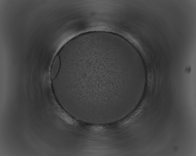 X0000091651230200708301412