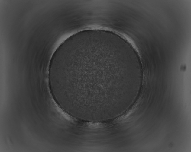 X0000091651231200708301412