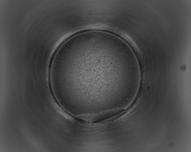 X0000091651232200708301412