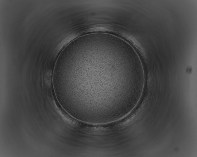X0000091651233200708301412